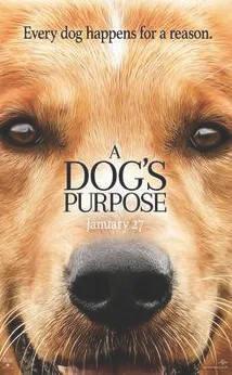 As cinco vidas de um cachorro